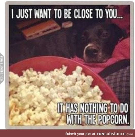 think we don't know your game dog