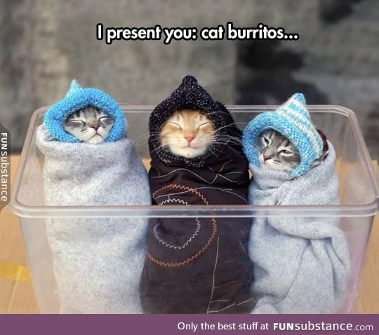 The beautiful purritos