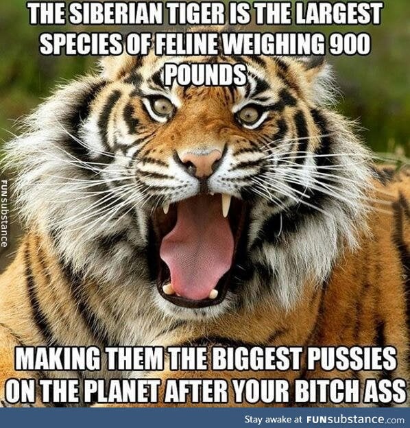 For all of you out there