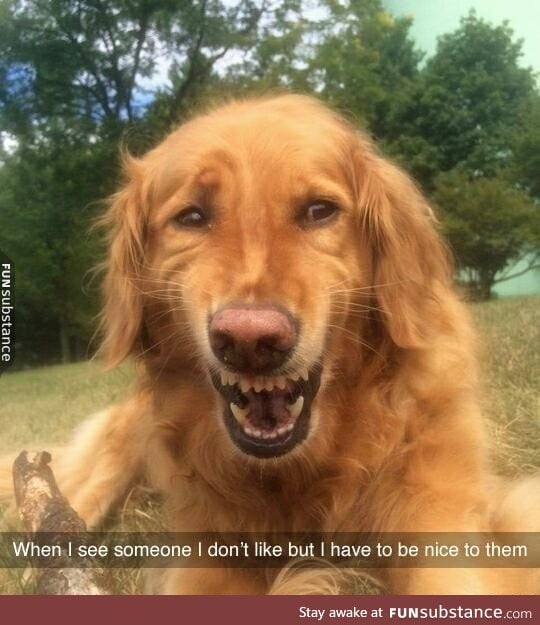Mum said to be polite.