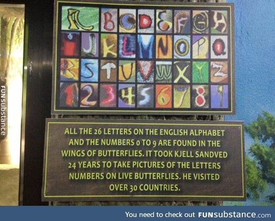 This is mind-blowing: Which came first?