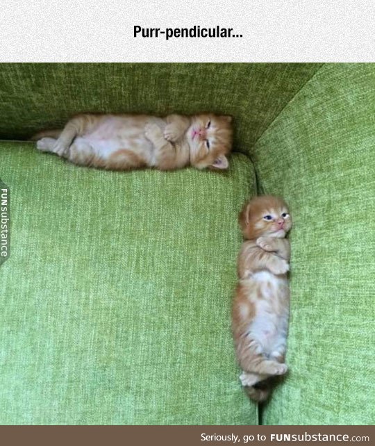 Cat geometry