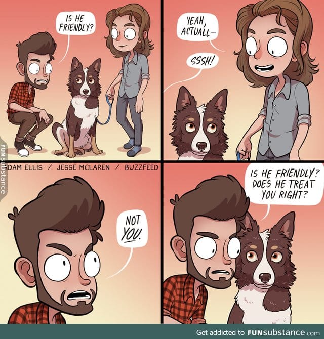 How I interact with dogs