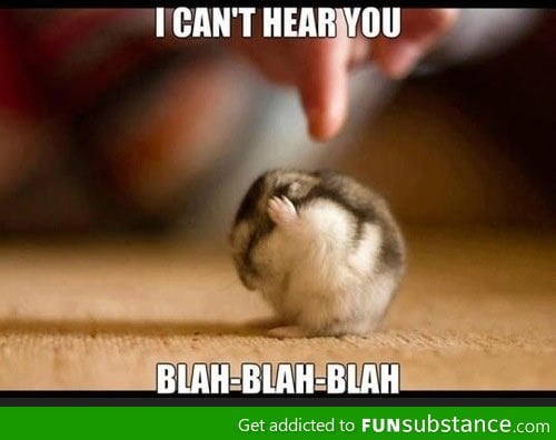 I'm not hearing you