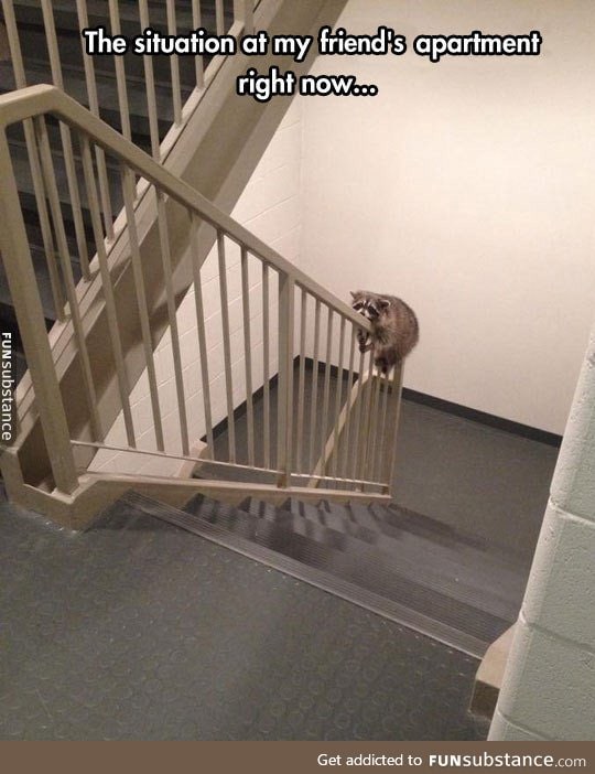 Delicate situation