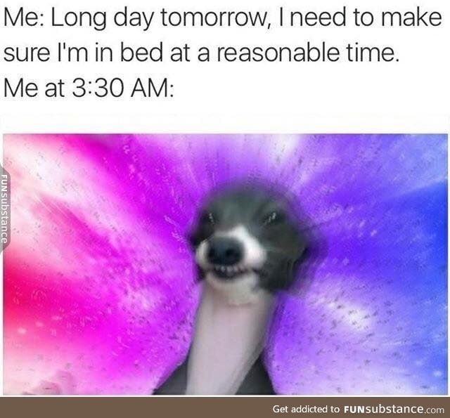 I never go to bed at a reasonable time