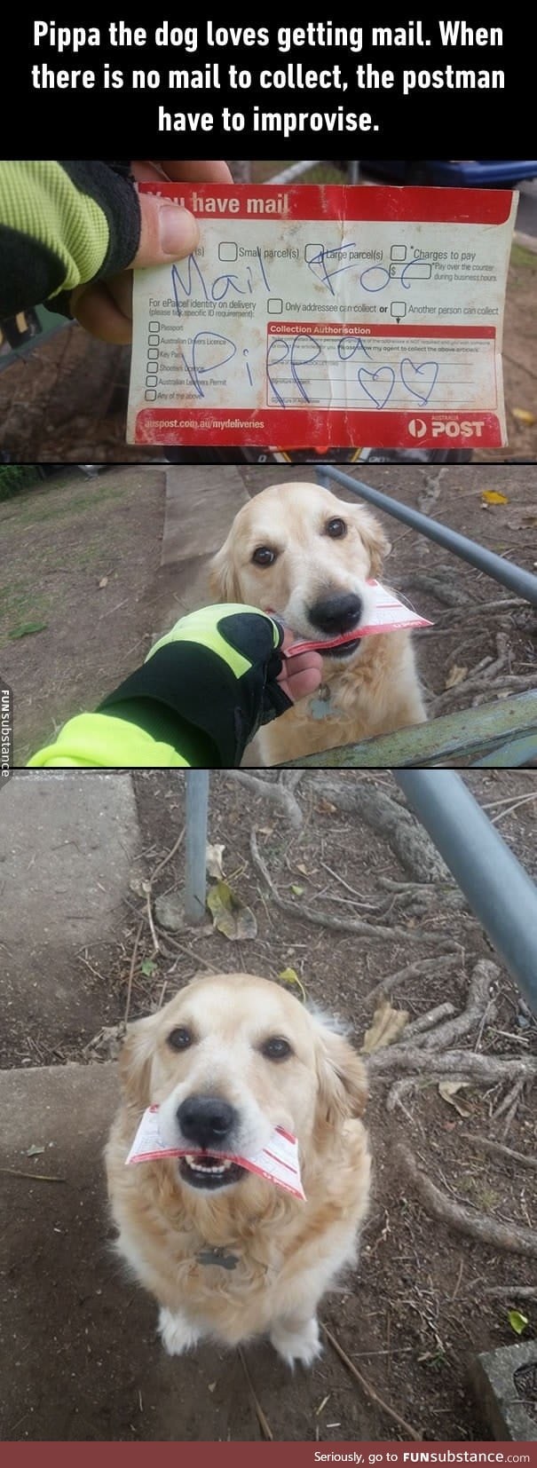 A postman from Brisbane wrote letters to the pup