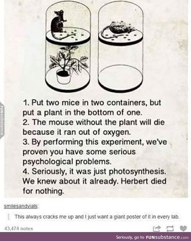 Science experiment