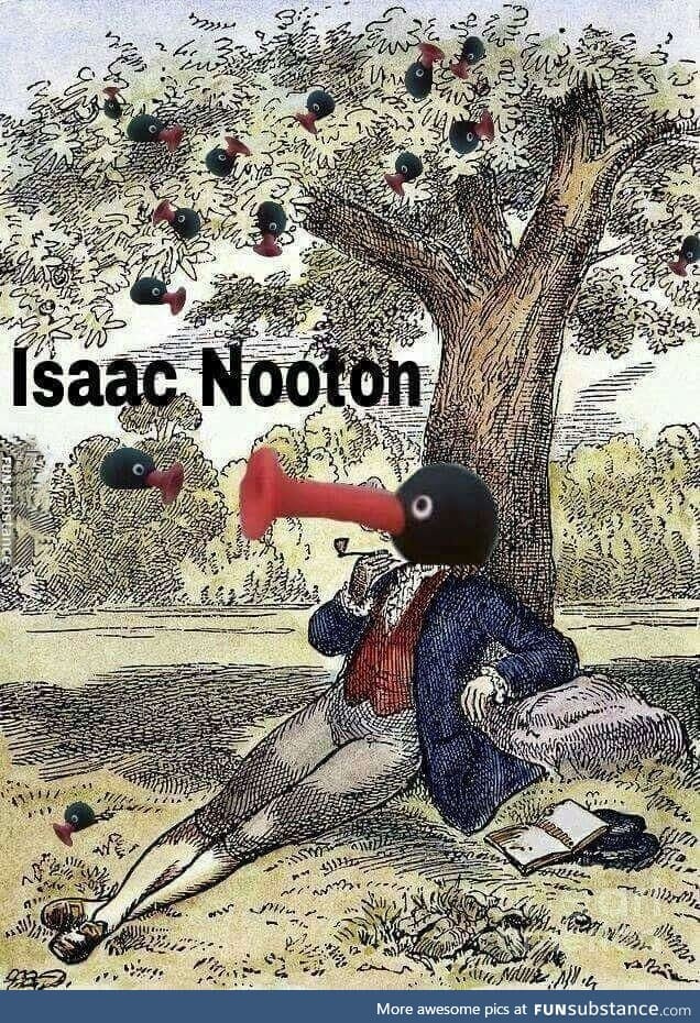 Noot noot