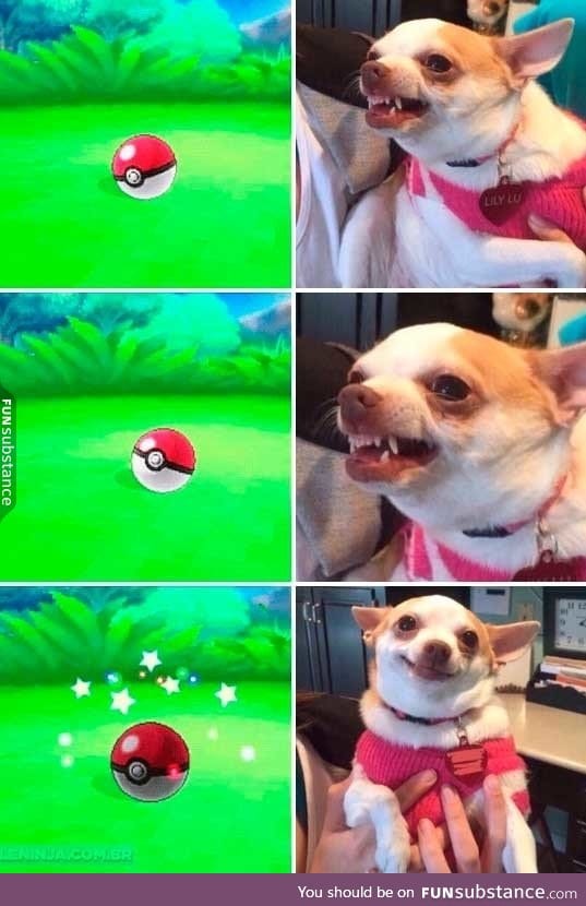 My experience with pokemon go so far