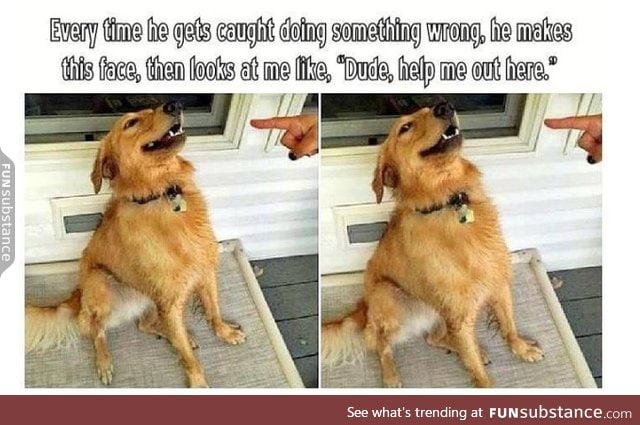 on the sly