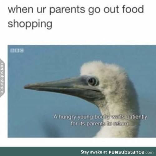 Still waiting for the food