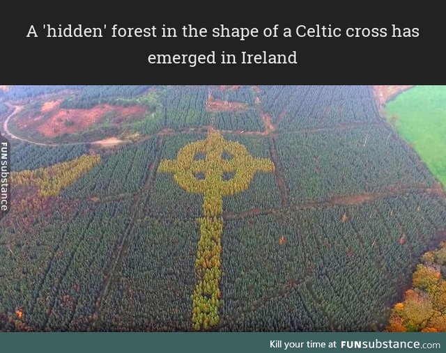 A Celtic cross has emerged in Ireland