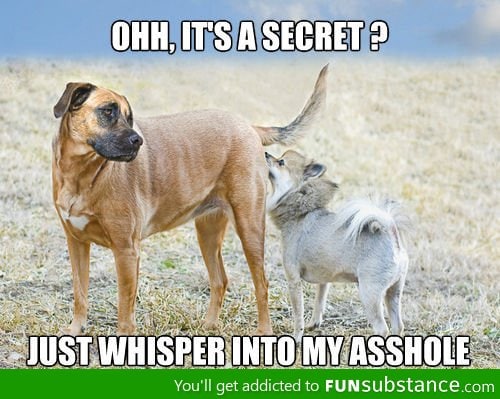 Sharing Secrets