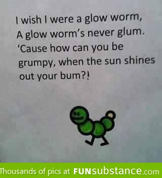 Glow-worm