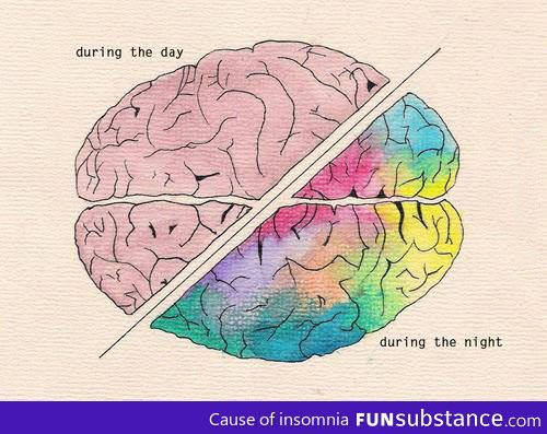 The way the brain works