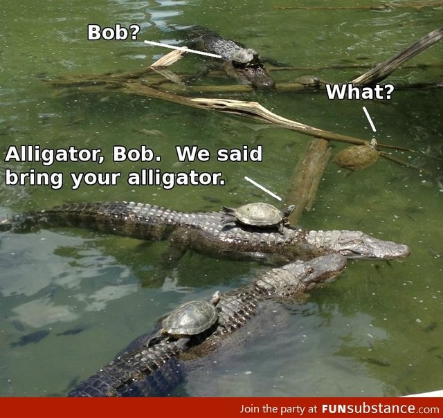 Goddammit Bob