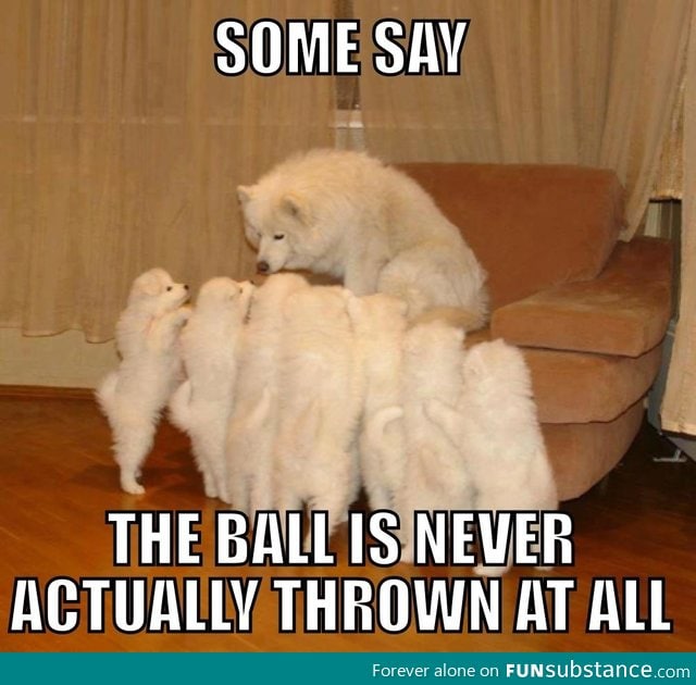 Storytelling dog