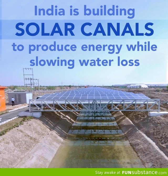 That classic ̶A̶m̶e̶r̶i̶c̶a̶n̶ Indian ingenuity