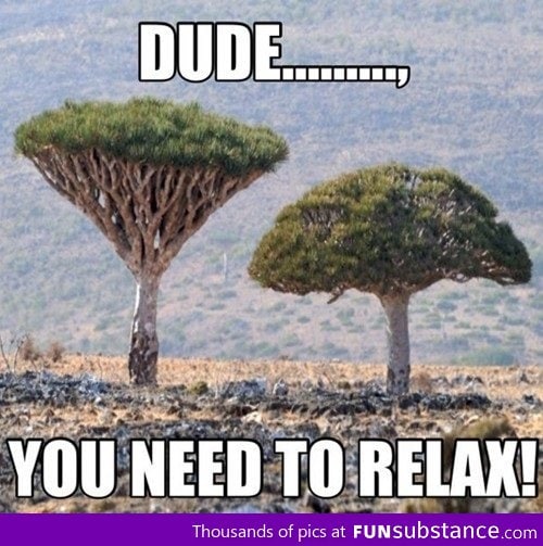 Chill dude