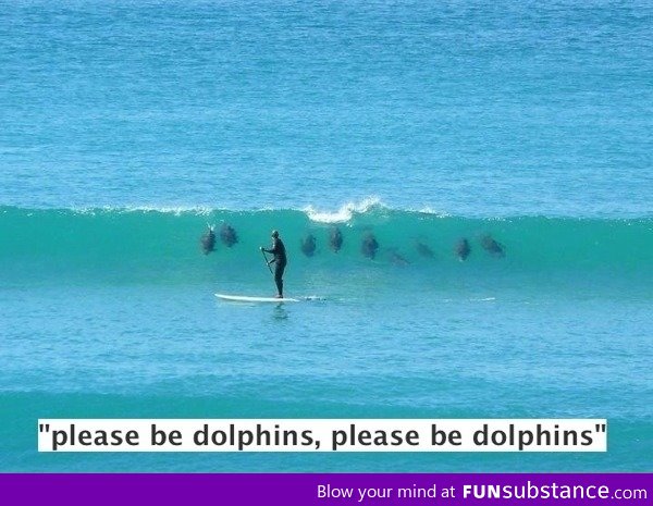 Please be dolphins