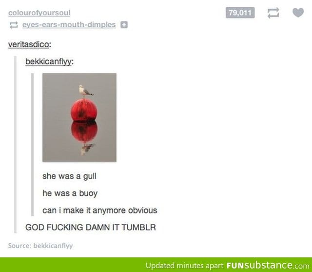 She was a gull, he was a bouy