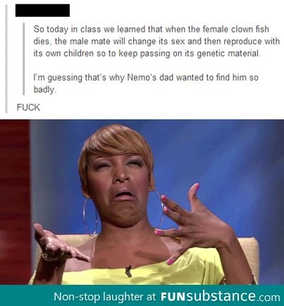 what the hell man