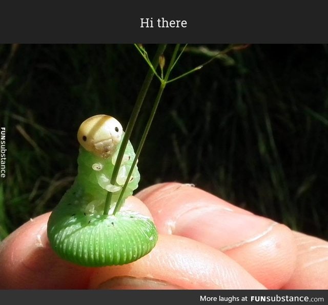 Caterpillar holding a plant