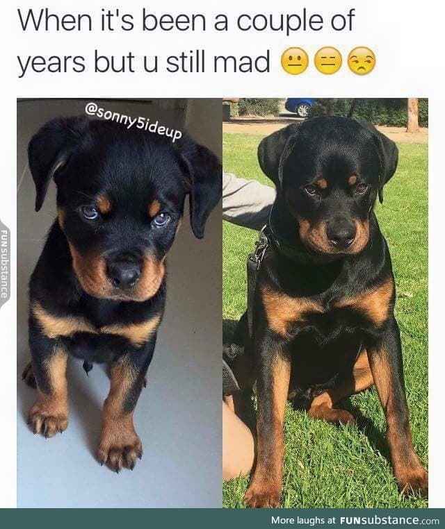 What is he so mad about?