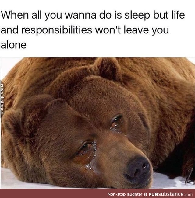 Me irl