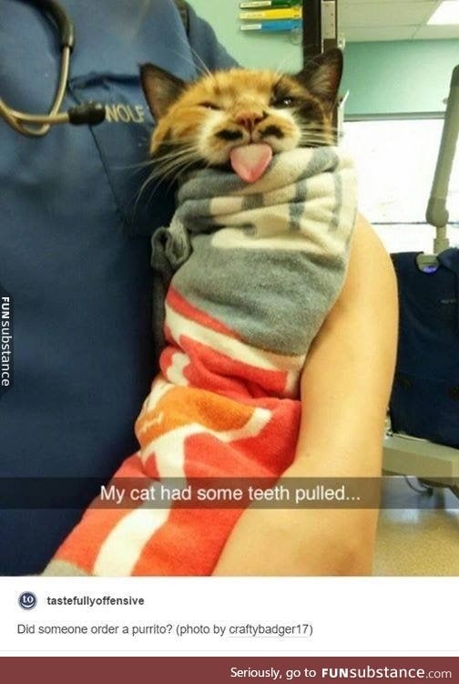 Purrito