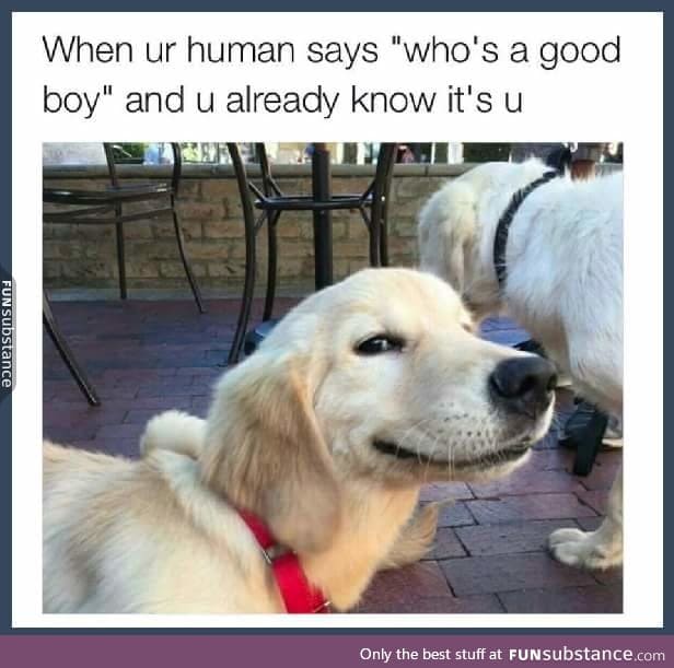 That smirking face