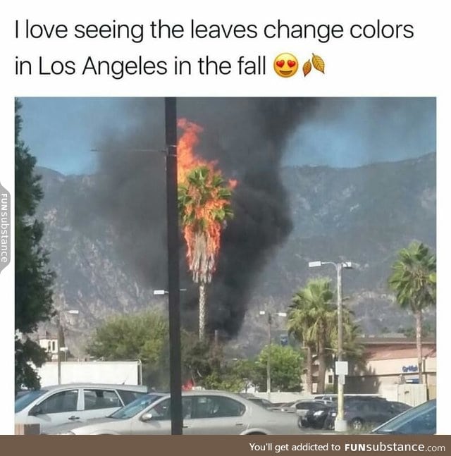 From green to orange