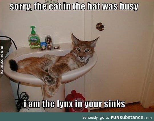 There's No More Cat In The Hat