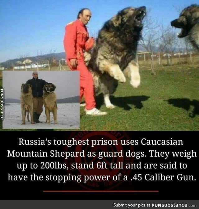 Just russian things