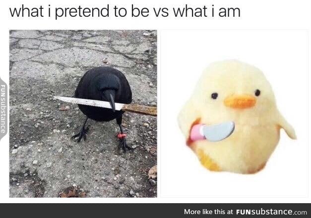 I pretend to be a real bird but I'm actually a stuffed bird