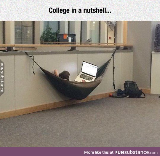 Here we see the college student in the wild