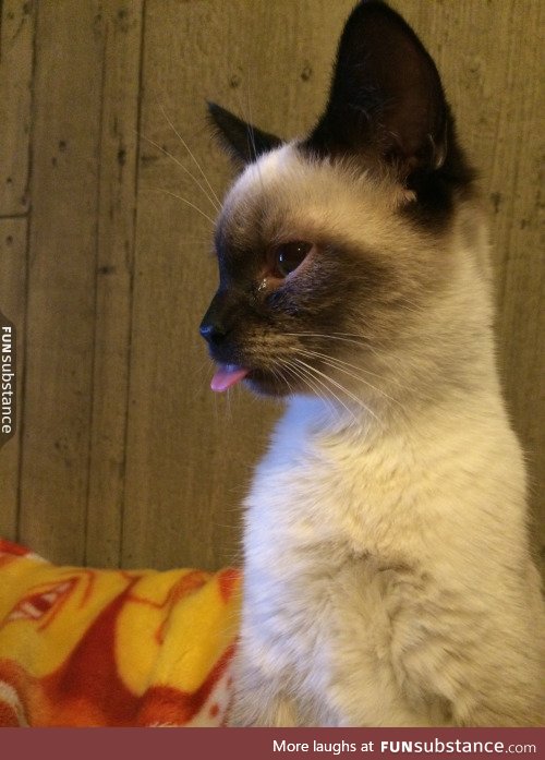 Blep