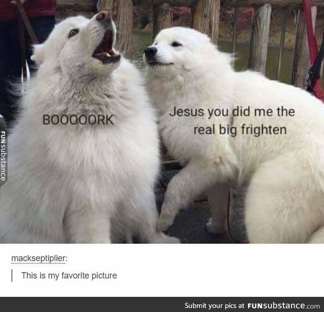 BORK