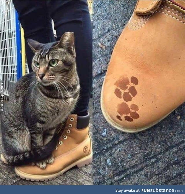 Designer we all need but not deserve