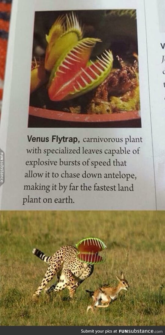Err... I'll Take Your Word For It