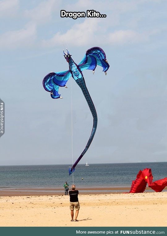 Majestic kite
