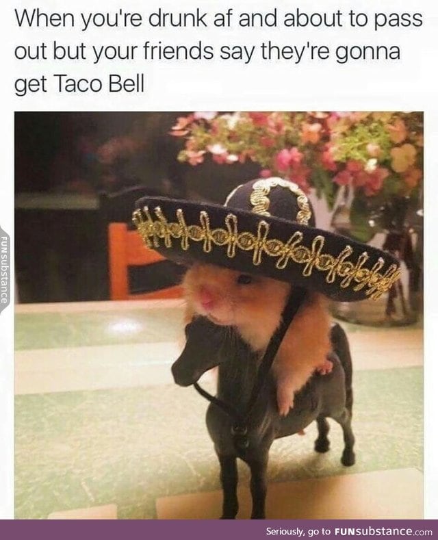 Vamos Gringo !