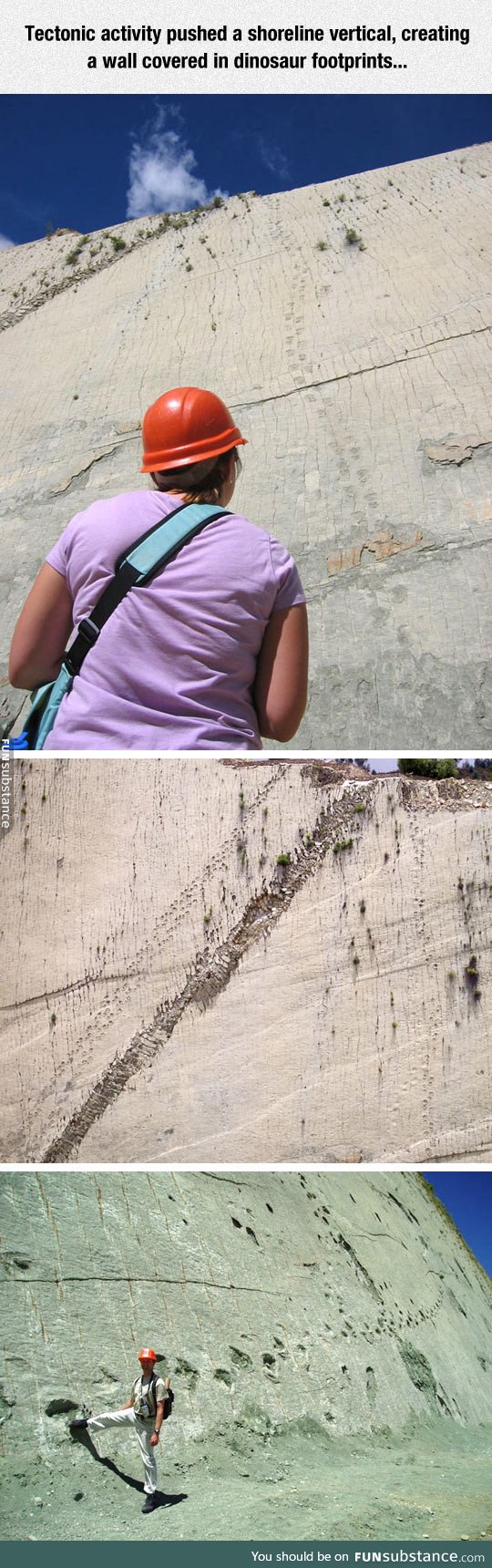 Wall covered in dinosaur footprints