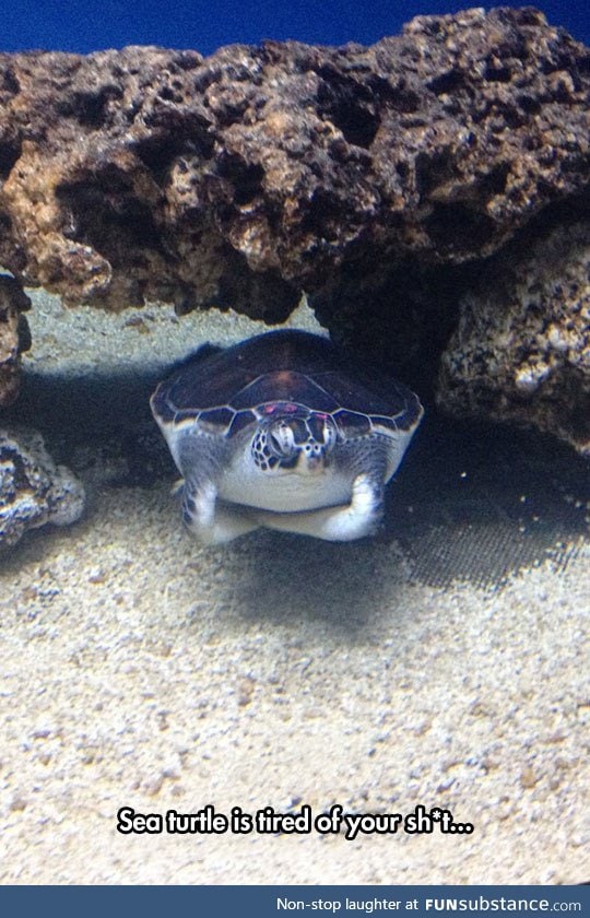 He looks very judgmental