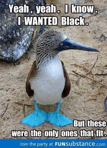 You don't always get what you want