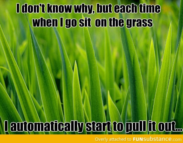 Sitting on the grass