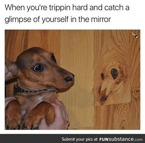 That's me