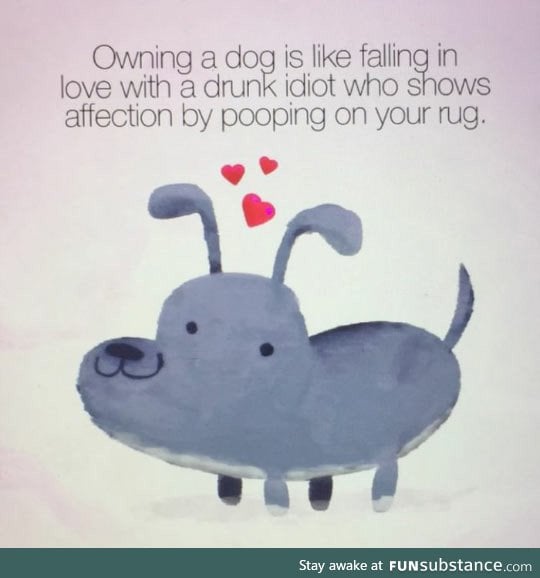 Owning a dog