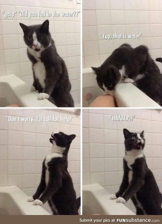 Cat saving human